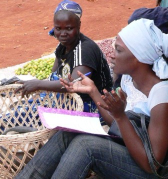 CIDR _ Field Survey Interviews